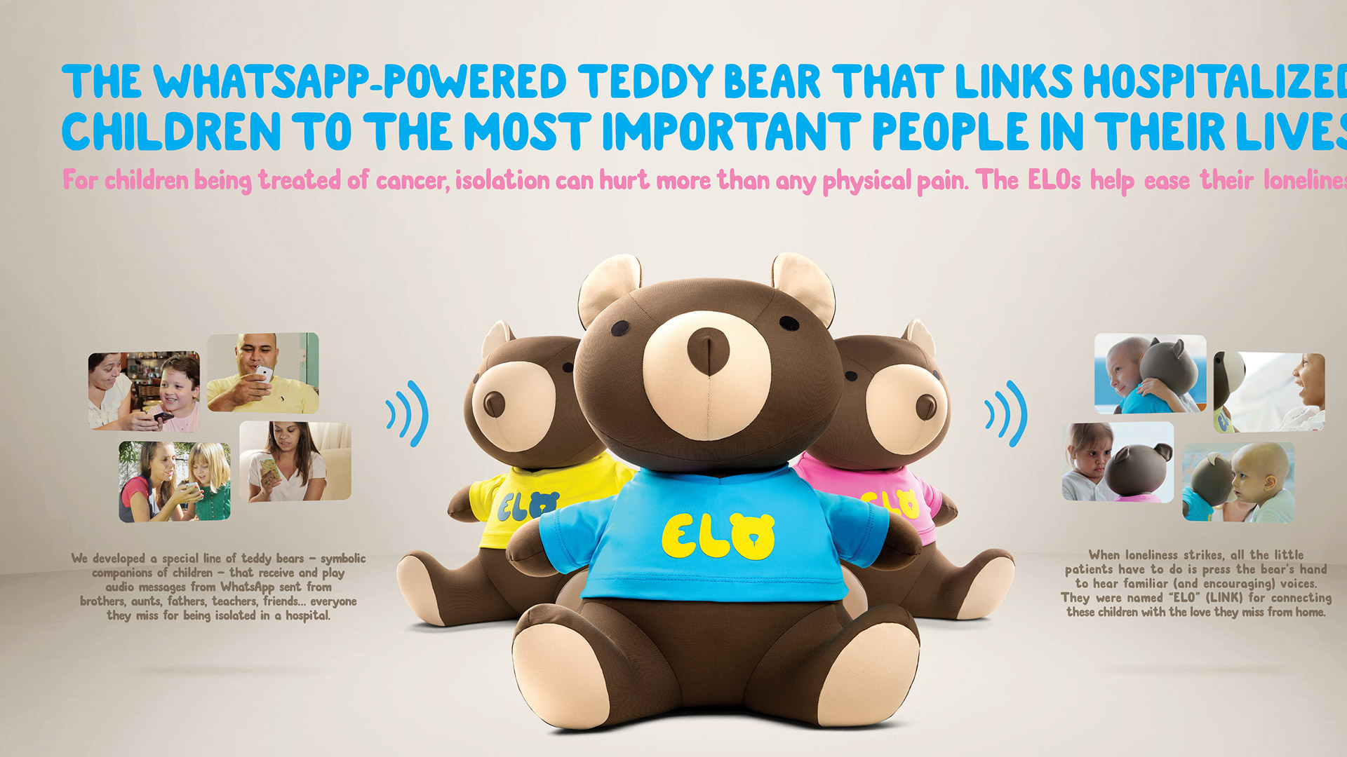 teddy bear do