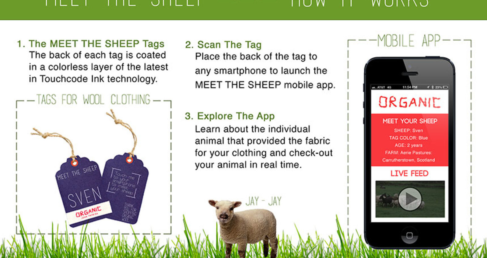 Meet The Sheep