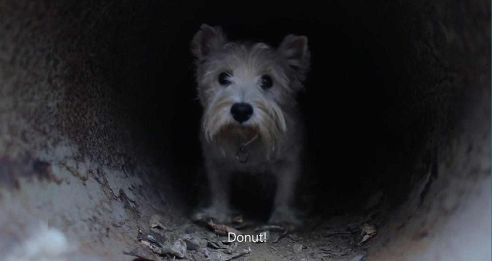 Finding Donut
