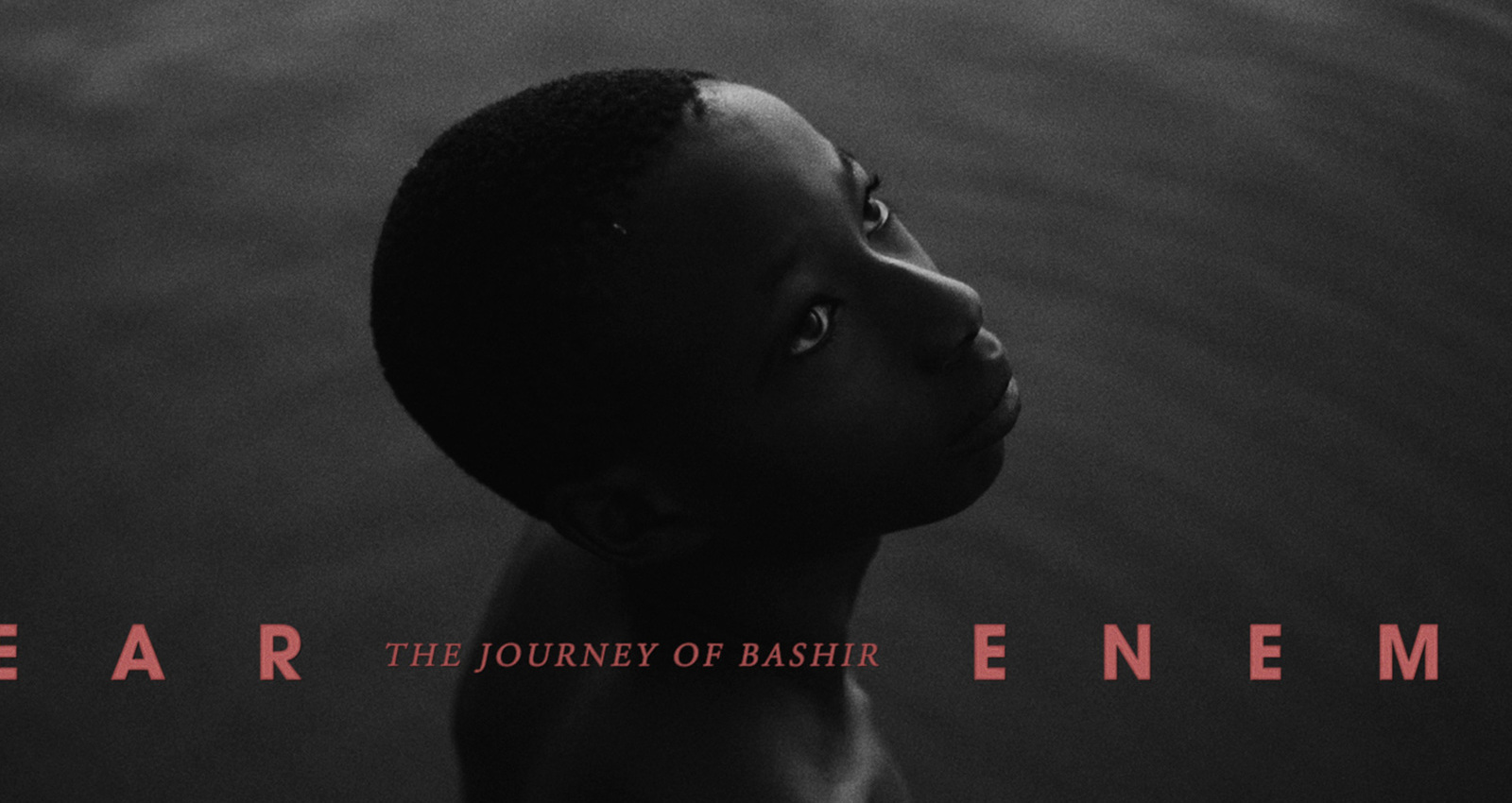 Dear Enemy - The Journey of Bashir