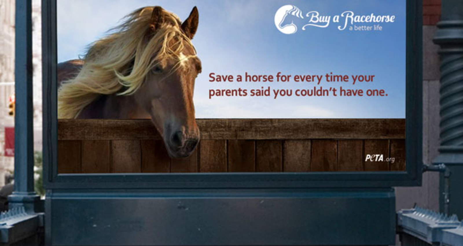 Save A Racehorse
