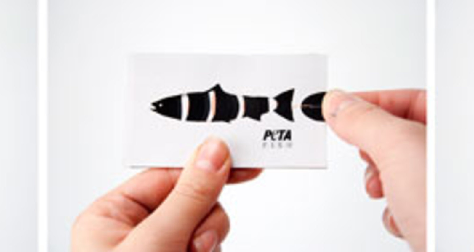 PETA Fish Corporate Identity