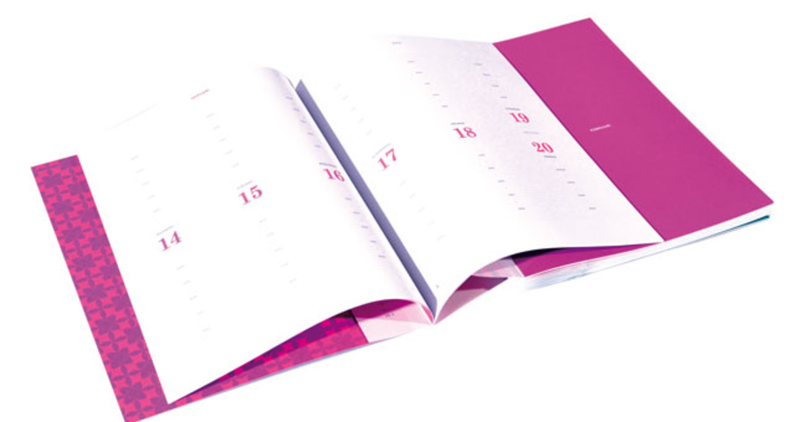 The twelve of '13 - Ando calendar 2013