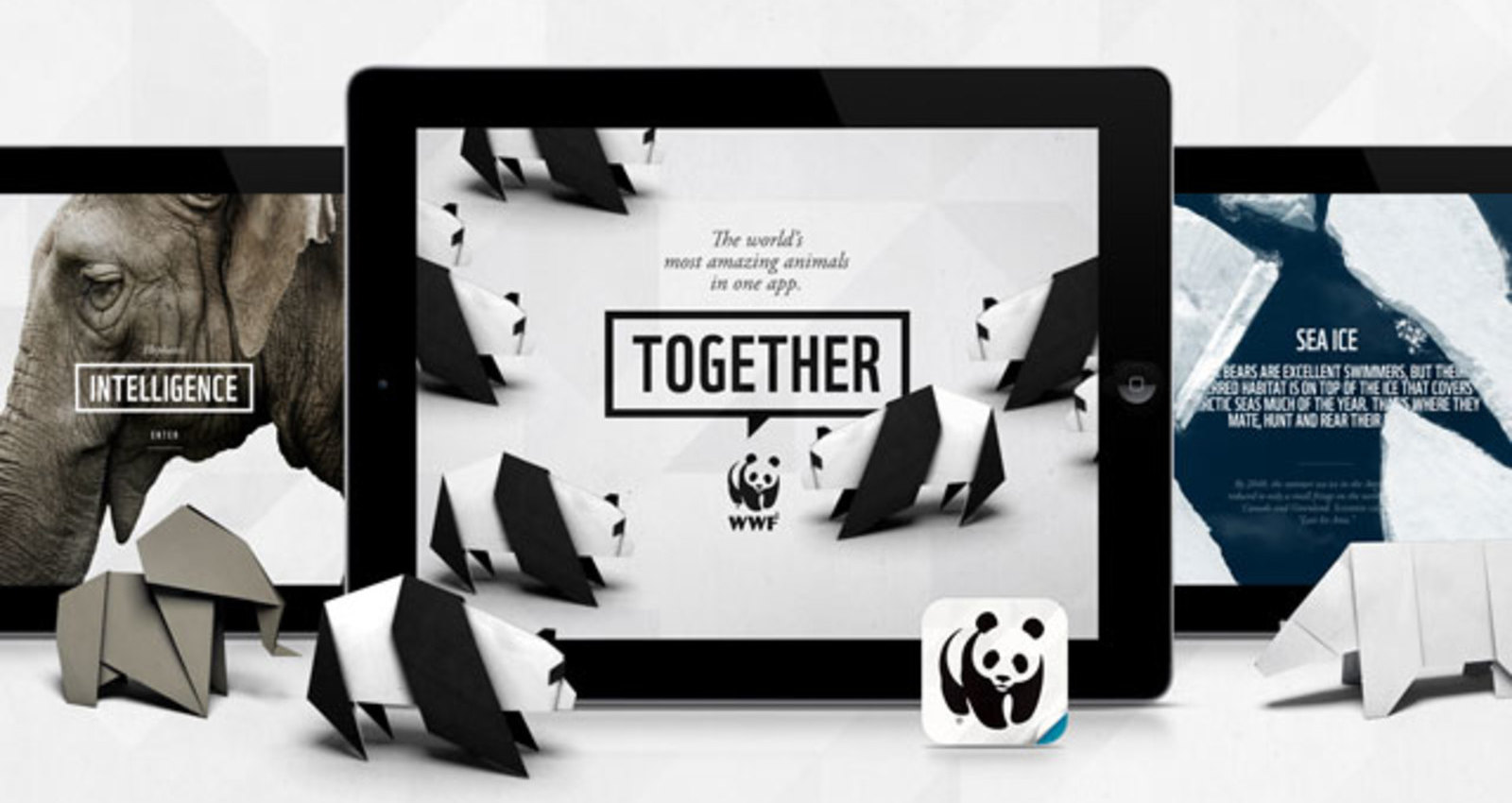WWF Together App