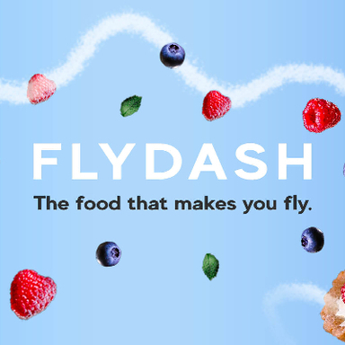 FlyDash