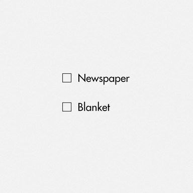 Newspaper/Blanket