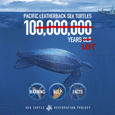 Save the Leatherback
