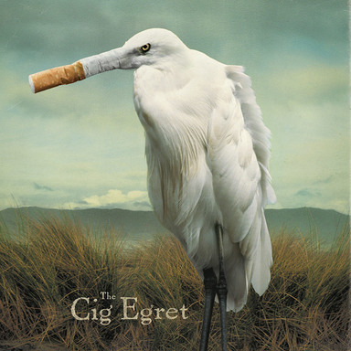Cig Egret
