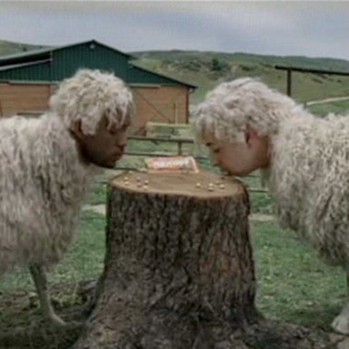 Sheepboys