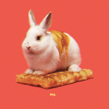 Bunny Waffle