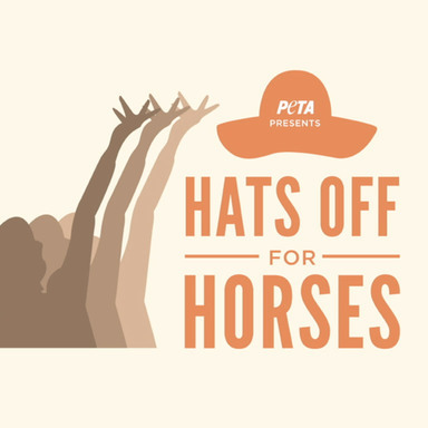 Hats Off For Horses