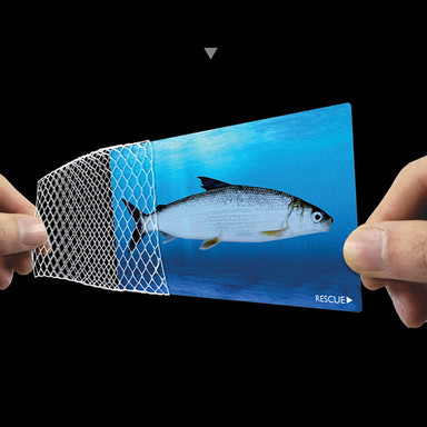 Fishnet Corporate ID