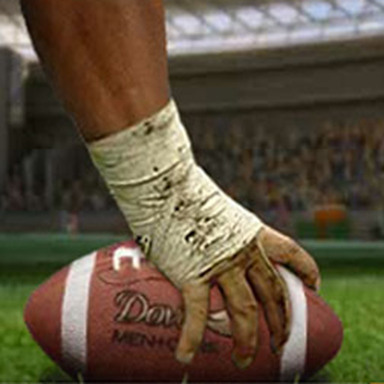 Banner Dove NFL