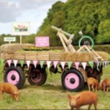 The World's First Really Live Pig Feed