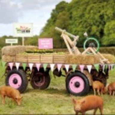 The World's First Really Live Pig Feed