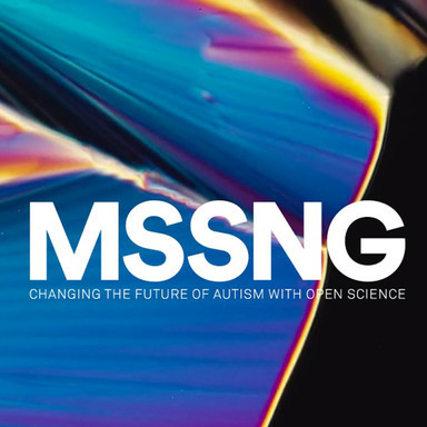The MSSNG Project