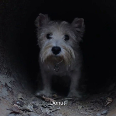 Finding Donut
