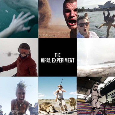 The Viral Experiment