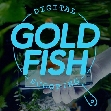 Digital Goldfish Scooping