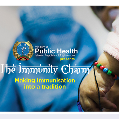 The Immunity Charm