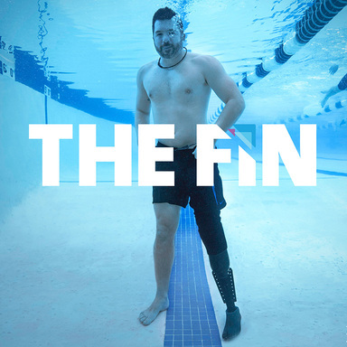 The Fin 