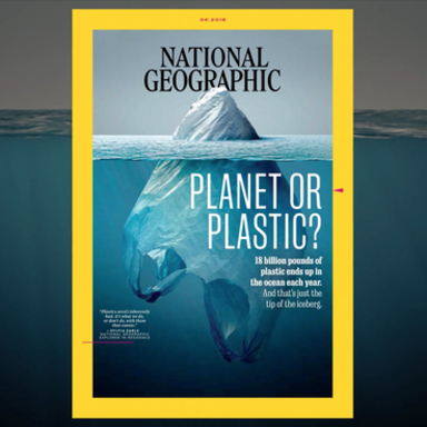 Planet or Plastic 