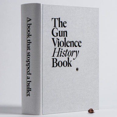The Gun Violence History Book