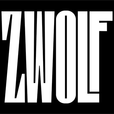 Zwolf Strategy Brand Identity