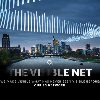 The Visible Net