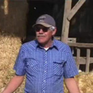 Cow Abduction - Farmer's Video