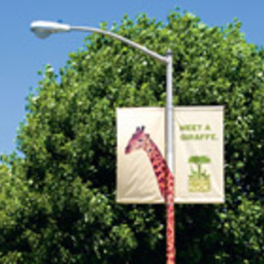 Giraffe Banner