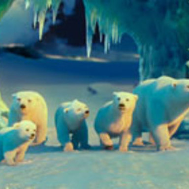 The Polar Bears Movie
